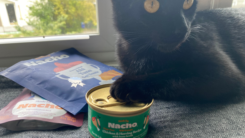 black cat with made by nacho cat food
