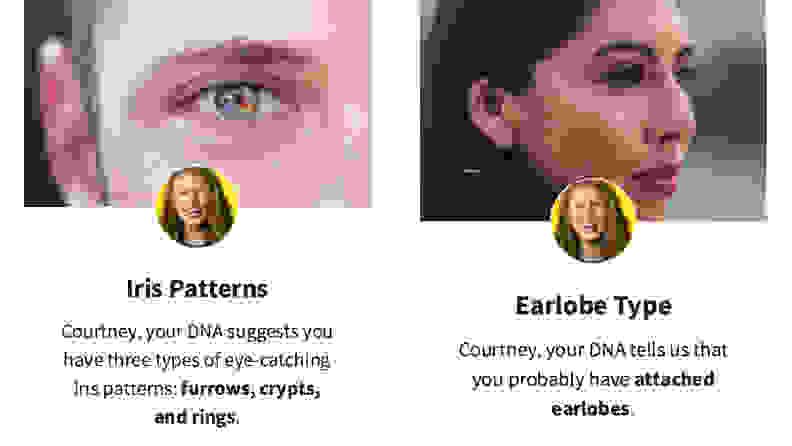 AncestryDNA Traits Iris Patterns and Earlobe