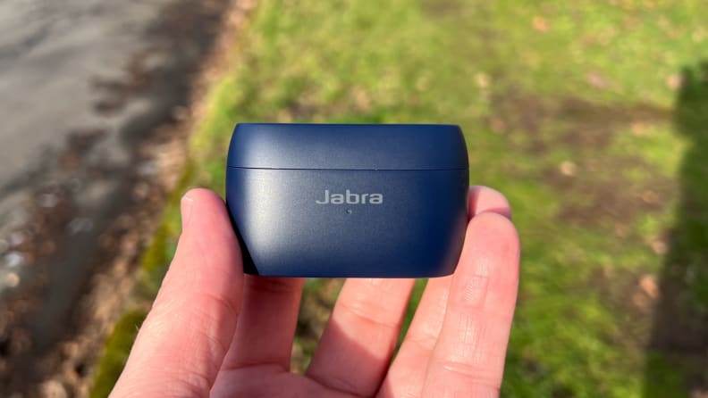 An oval shaped, navy earbuds case is held before a grassy background