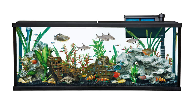 Top Fin fish tank