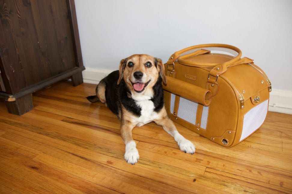 PetsHome