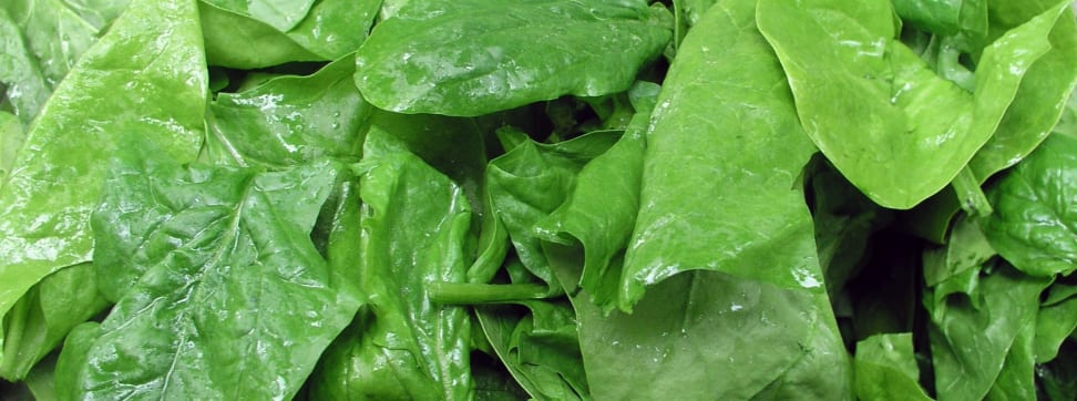 A bunch of spinach leaves.