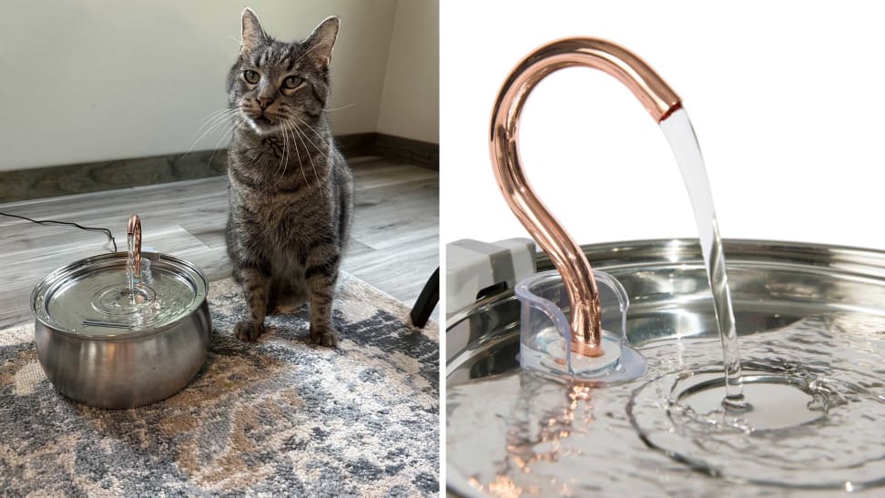Top rated cat fountains deals