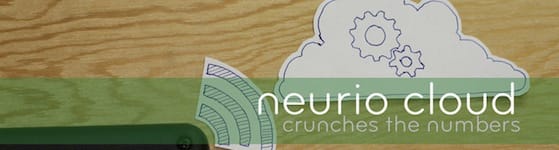 Neurio cloud