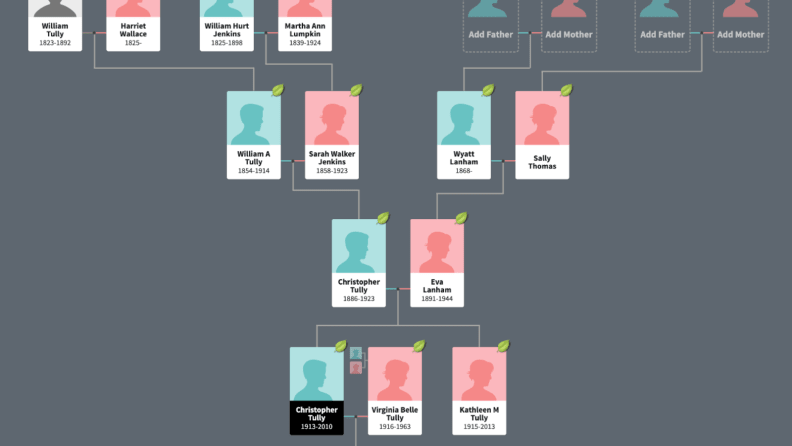 Find Your Ancestors in the Family Tree