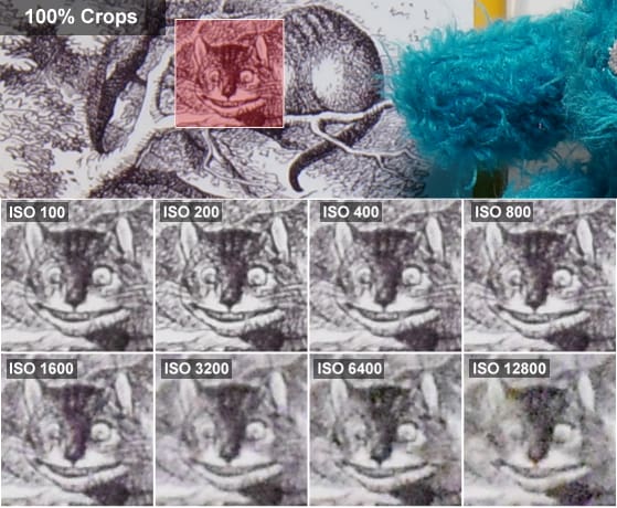 Nikon-1-J4-review-science-alice-crops.jpg