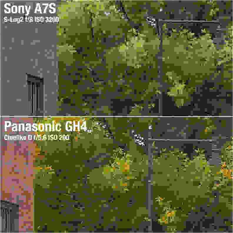 The Mirrorless 4K Showdown: Sony A7S Vs. Panasonic GH4 - Reviewed