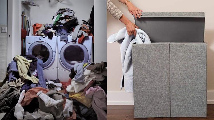 26 Things You Shouldn T Own If You Have Cats Or Dogs Reviewed