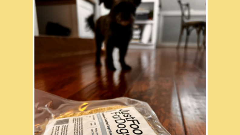 Just Food For Dogs food package with dog standing behind