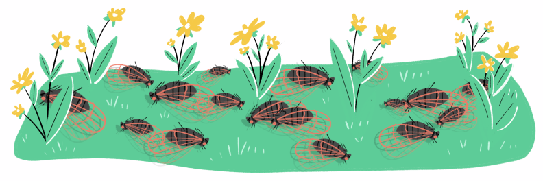 Illustration of deceased cicadas in the yard next to flowers