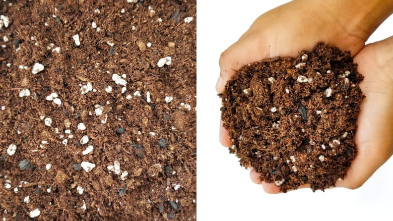 A pile of soil grabbed by a pair of hands.