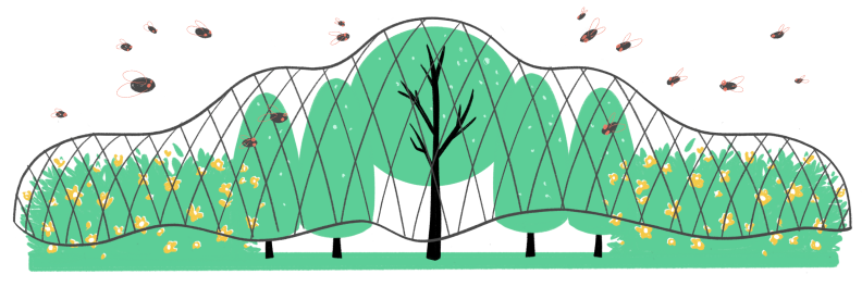 Illustration of cicadas swarming around trees, bushes, and flowers covered in garden netting