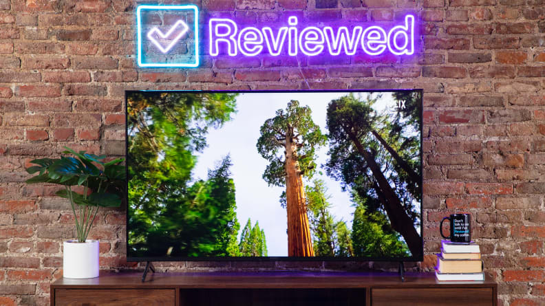 A television screen showing an image of trees in a living room.