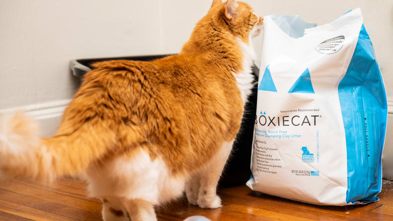 The 5 Best Cat Litter Bags of 2023