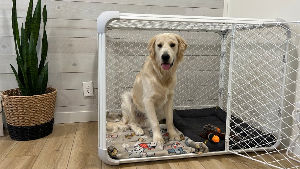 Long narrow dog crate cheap