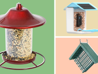 Assorted product shots of small, colorful bird house with bird feed inside.