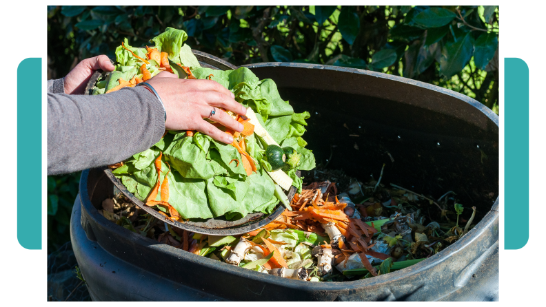 A person scrapping old lettuce and carrot shavings into a compost bin.