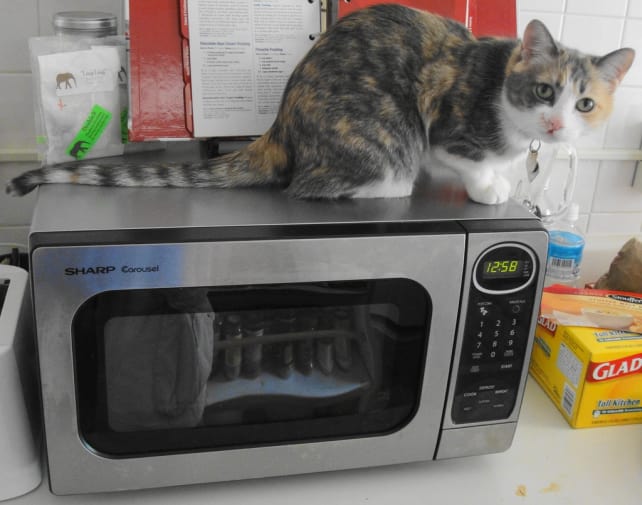 Microwave