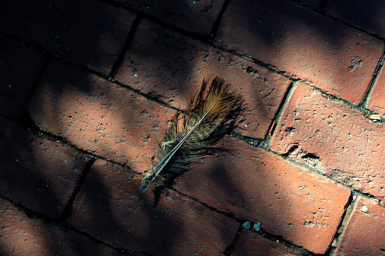 We encourage you to open this shot up at full resolution, where you can see the very fine detail that comes out at f/4.0.