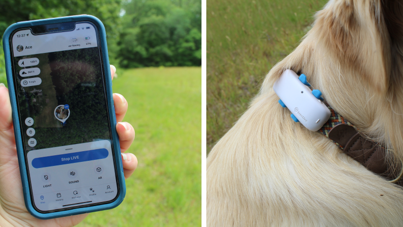 tractive tracking on app and close up of collar attachment