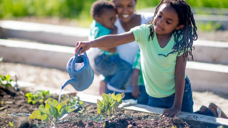 grade school gardening