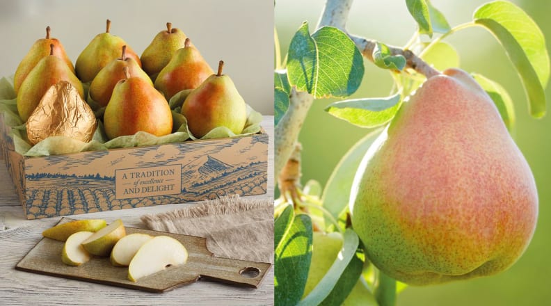 Harry & David pears