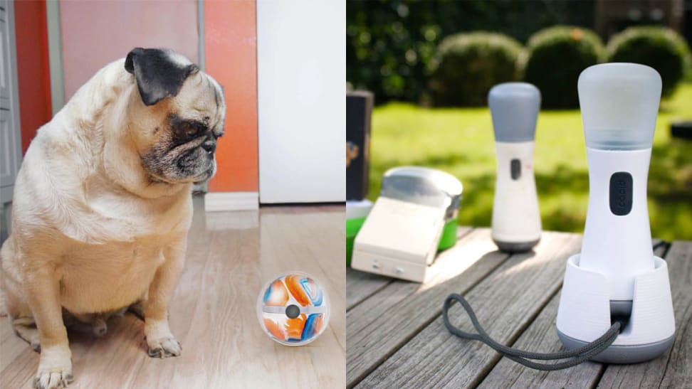 We love these 2 new smart toys for kids and pets