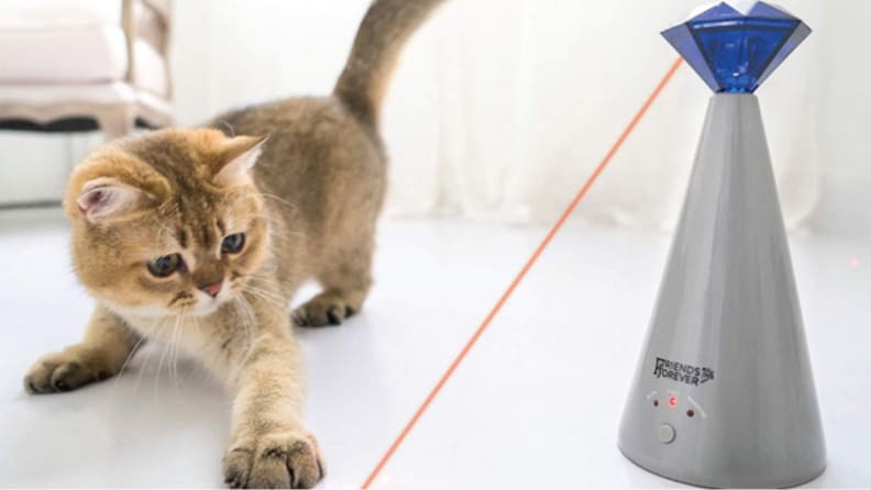 An image of a cat pawing at a laser from a cat toy.