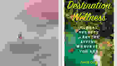 安妮·戴利(Annie Daly)的《目的地:健康》(Destination: Wellness)一书的封面