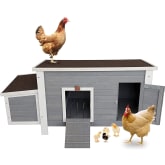 Product image of Petsfit Weatherproof Outdoor Chicken Coop