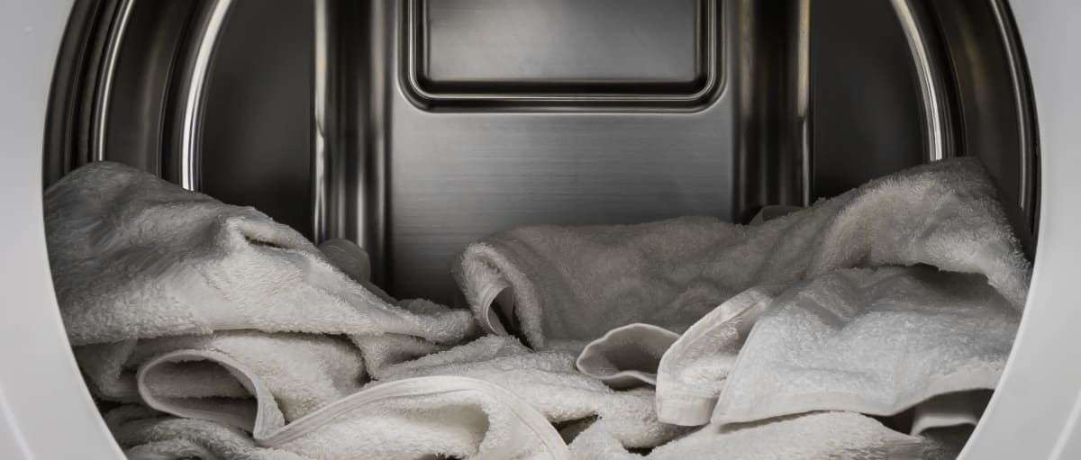 LG DLGX8001W Gas Dryer Review Reviewed