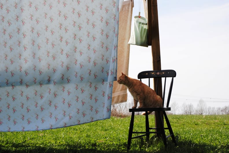 sheet on clothing line