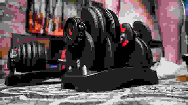 Bowflex SelectTech adjustable dumbbells.