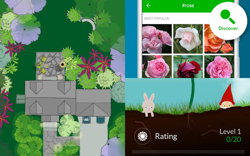 15 Gardening Apps & Plant Identifiers To Plan Your Garden in 2021