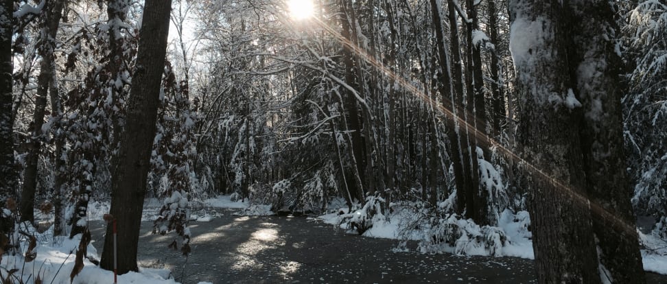apple-iphone-6-review-sample-snow.jpg