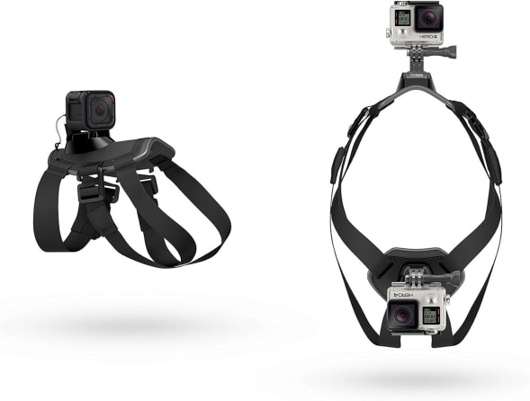 Best gopro dog harness 2025