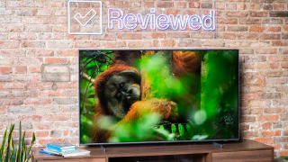 The 55-inch Samsung Q60B QLED TV displaying 4K/HDR content in a living room setting