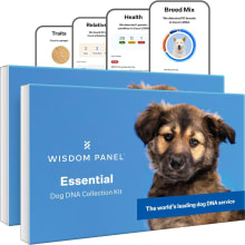 Product image of Wisdom Panel Essential Dog DNA Kit