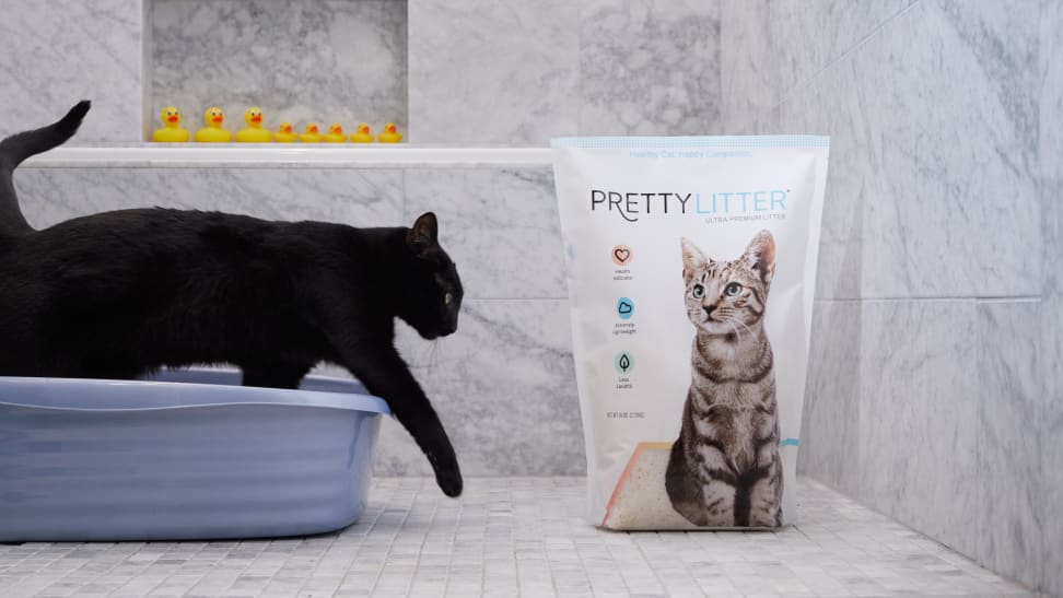 This litter claims to help monitor your cat's health, but it costs a pretty penny.