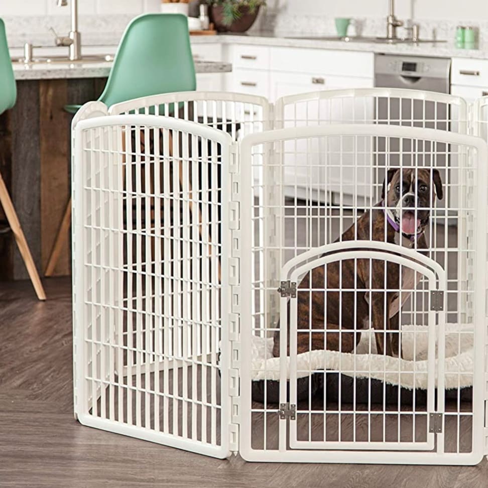 The 4 Best Dog Crates of 2024