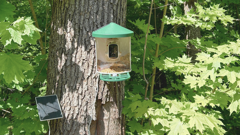 A green and white Harymor bird feeder mounted to a tree with green leaves surrounding it.