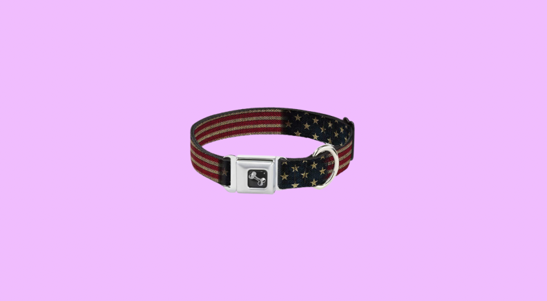 flag collar