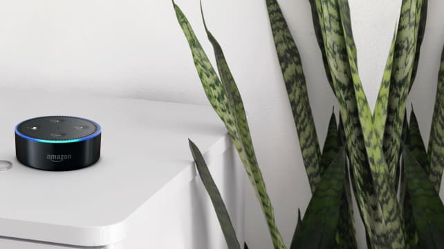 Amazon Echo Dot