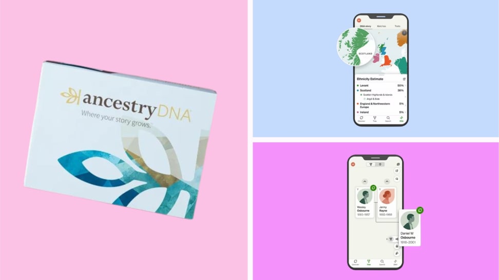 An AncestryDNA testing kit next to smartphones displaying AncestryDNA webpages in front of colored backgrounds.