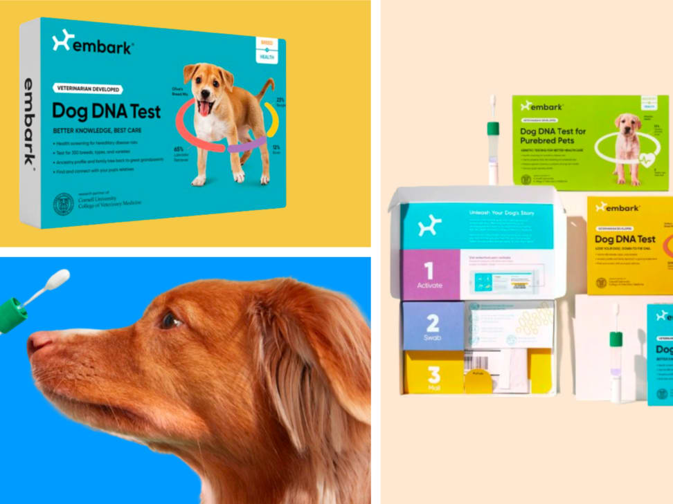 Embark dog sales dna test review