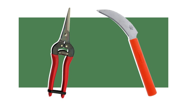 A fruit pruner and a knife in front of a background.