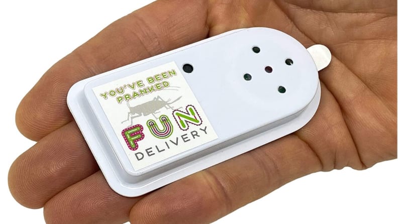 A small device that makes chirping cricket sounds that fits in the palm of your hand.