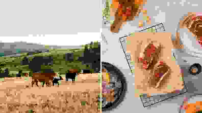 On left, cows grazing in an open area. On right, a counter top with raw meat and fish arranged with scattered produce.