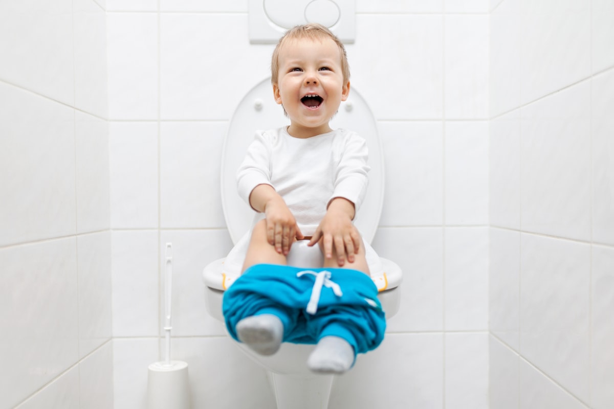 potty training seat for baby