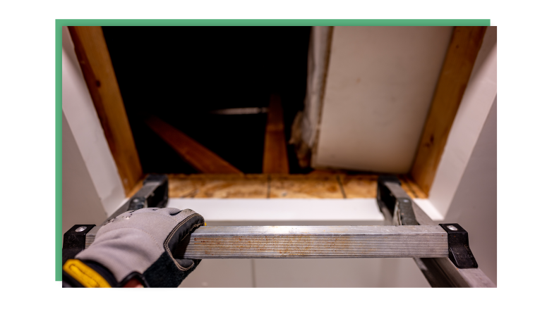 A first-person view of a person climbing up an attic staircase.